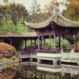 健康先進国！？太極拳に気功！中国の朝の公園は年配の方のパラダイスだった！