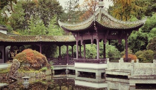 健康先進国！？太極拳に気功！中国の朝の公園は年配の方のパラダイスだった！
