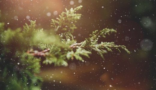 これがクリスマス！本場イタリアで感じる聖なる夜の過ごし方！