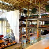 オランダの進化系図書館