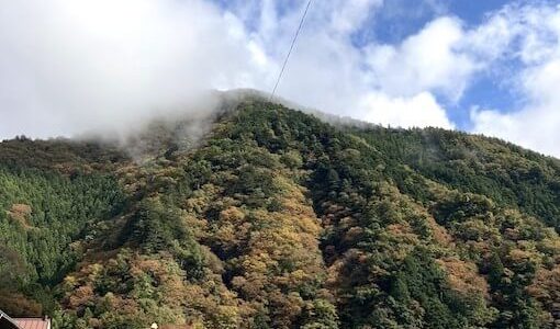 『雲取山①』東京都最高峰！そびえ立つ、霧の山へ！