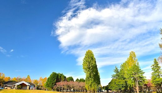 彩の森公園